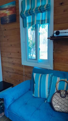 Sugar Cakes Tiny House in Governor's Harbour