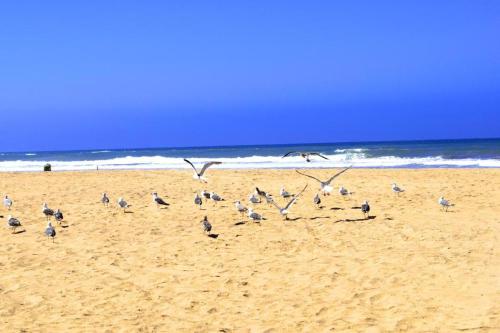CASABAY Sidi Rahal, appartement avec acces direct a la plage et vue sur piscine in Sidi Rahal