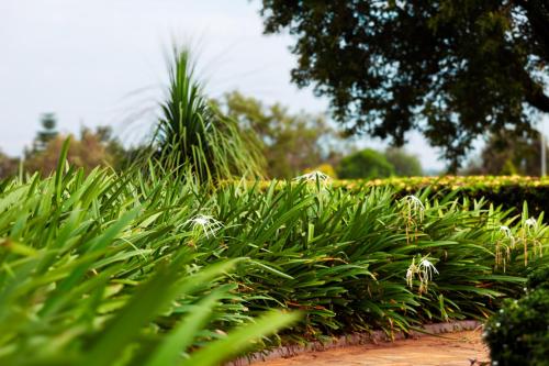 20 minutes to Ziwa Rhino Sanctuary- Butiti Ranch B&B Stay