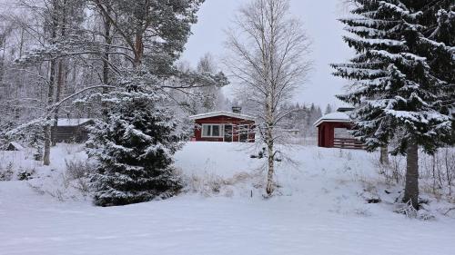 Beach cottage near Syote in Syote