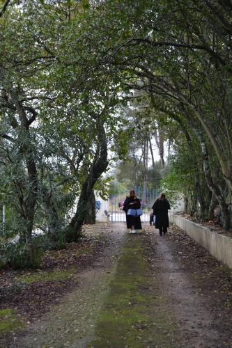 Quinta do Piloto - image 10