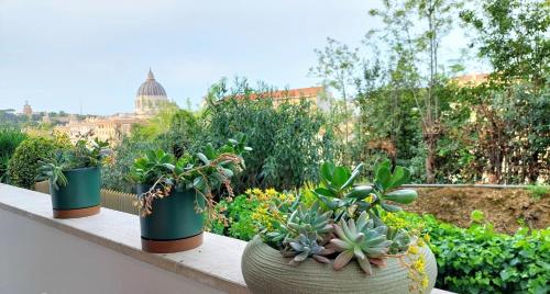Vatican View - image 3