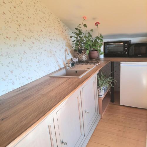 köök, Apartament nad Jeziorem in Nowe Miasto Lubawskie