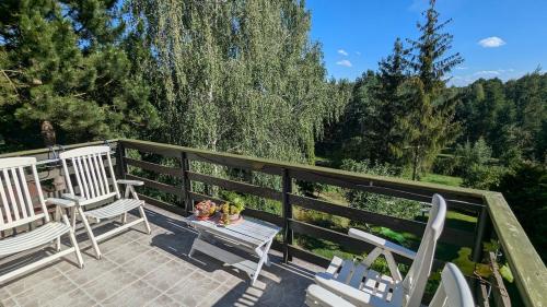 Ümbrus, Apartament nad Jeziorem in Nowe Miasto Lubawskie