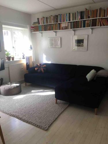 Unique charming apartment, Kopenhagen (Foto 4)