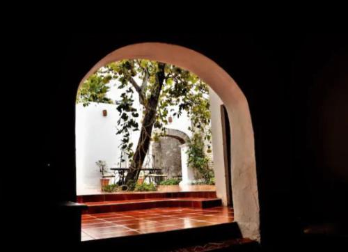 Casa Orquidea in Zona Centro