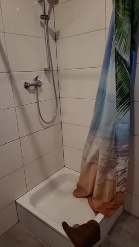 Flensburg Strandnah 3