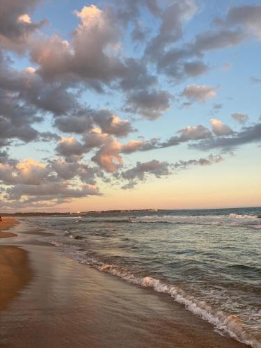 El nido in Ocean Park