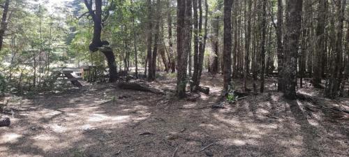 Camping Flor del Llaima
