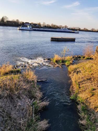 Étterem, Willkommen bei Mirya in Gernsheim