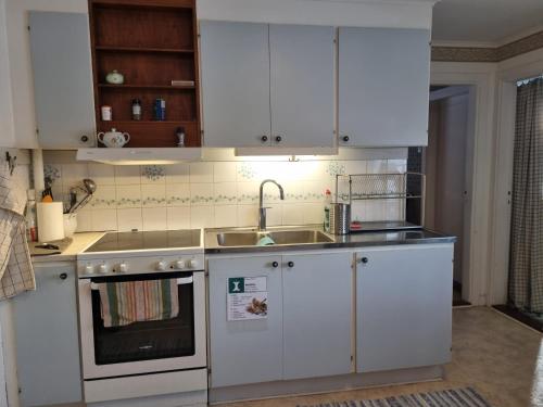 Skolvs Gard Hus Bjornfallet in Glanshammar