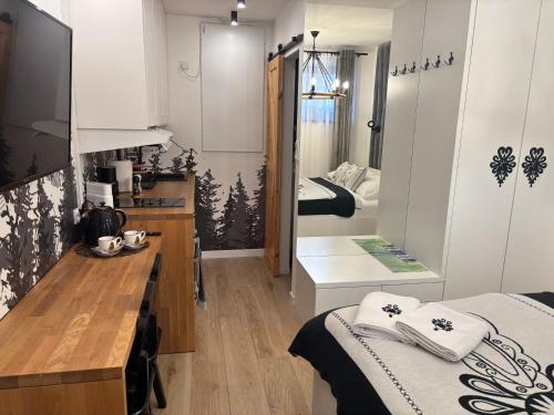Apartament SMALL Czarny Potok