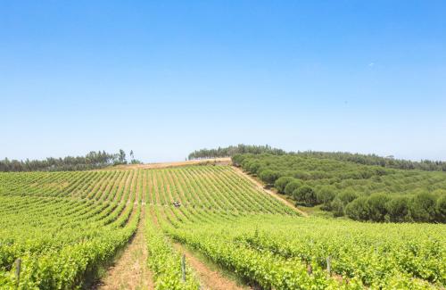 Quinta do Rol - image 13