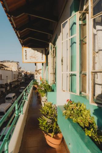 Casa Kraken Hostel in Пуерто-Вальярта