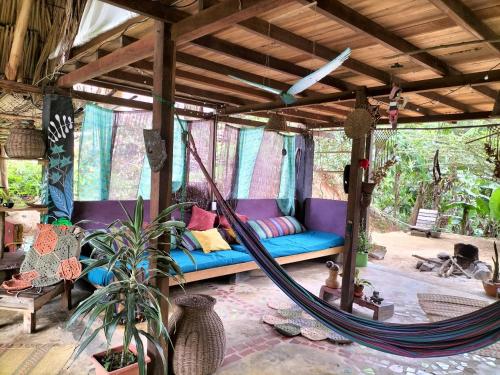 Ave de Montaña Cabañas (Ave de Montana Cabanas) in Калабазо