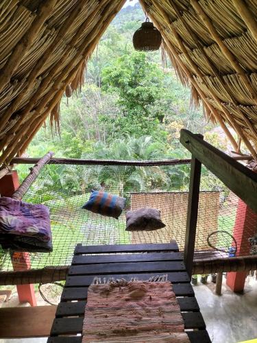 Ave de Montaña Cabañas (Ave de Montana Cabanas) in Калабазо