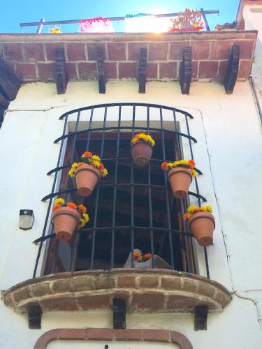 米卡斯塔酒店 米卡斯塔酒店