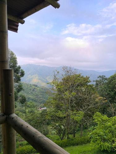 Montaña Sanadora, Medellín (photo 10)