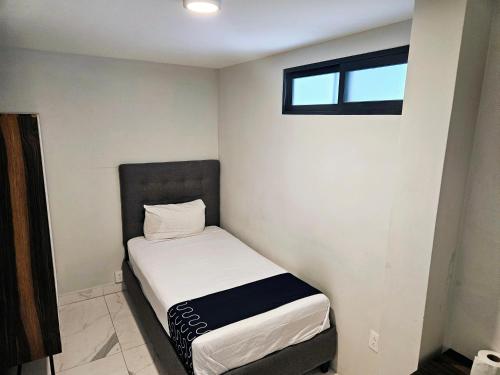 Singular Sócrates Singular Sócrates