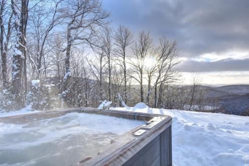 Ski-in/Car-out, HOT TUB with Amazing sunset view in Saint-Faustin-Lac-Carré (QC)
