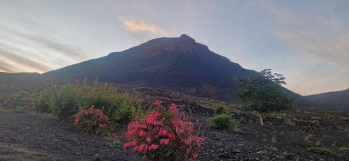 Casa Scora in Portela