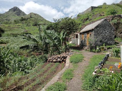 Bentub Home pousada in โบคาเดโกรูชา