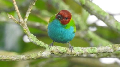 Eco Hostel y Cabañas Duck House