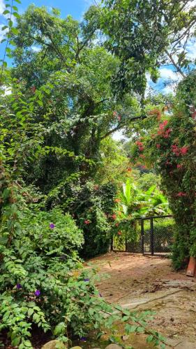 Eco Hostel y Cabañas Duck House