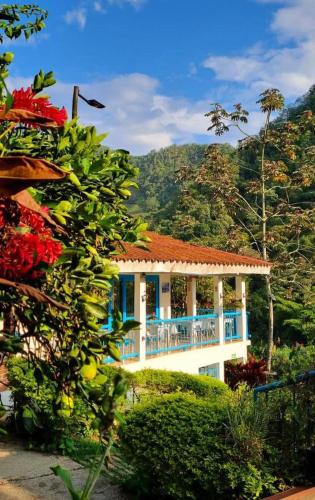 Eco Hostel y Cabañas Duck House