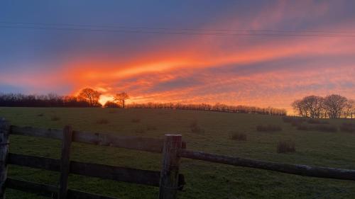 Shepherds Delight, Launceston (fotografie 10)