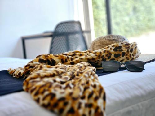 Singular Sócrates Singular Sócrates