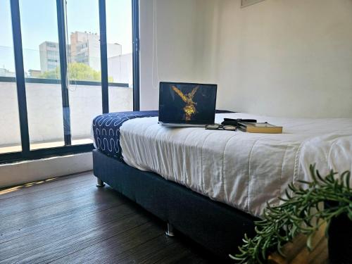 Singular Sócrates Singular Sócrates