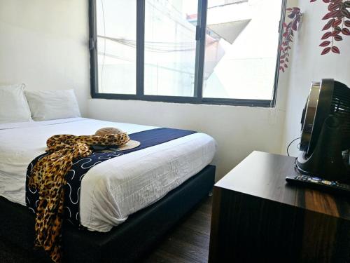 Singular Sócrates Singular Sócrates