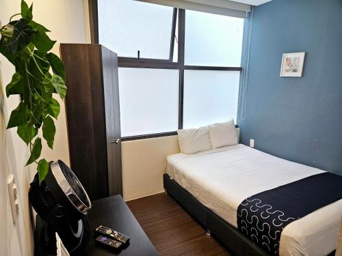 Singular Sócrates Singular Sócrates