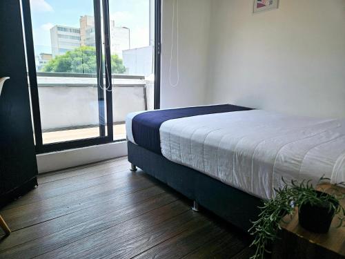 Singular Sócrates Singular Sócrates