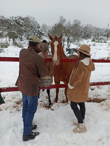 Casa Rural Majana II