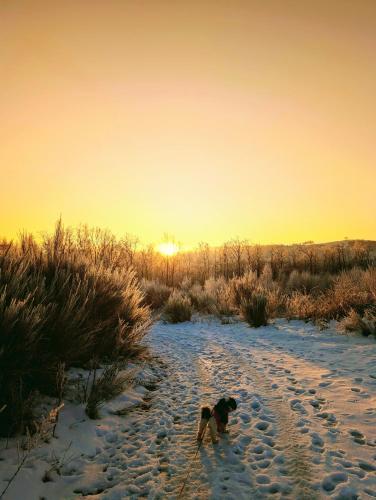 扬森公寓 扬森公寓