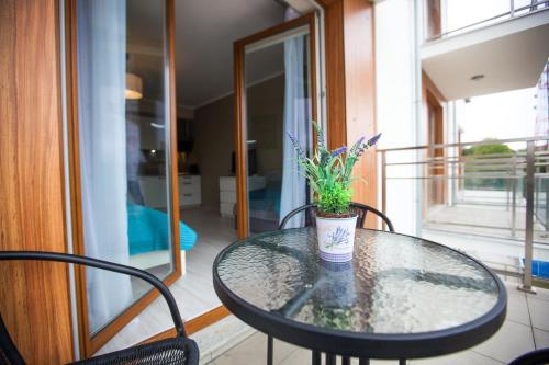 Prestige Apartment with Balcony (4 Adults) - ul. Orzeszkowej 6 image 6