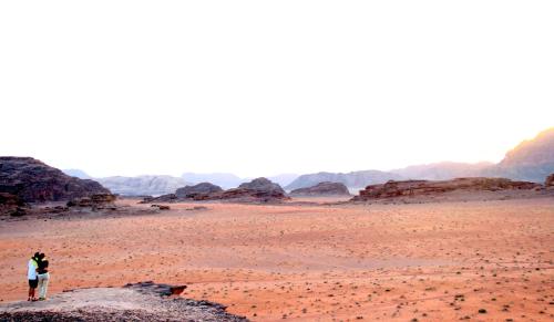 Bedouin Lifestyle Camp - Tap to explore photos