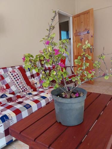 Latief appartement in 科默韋納