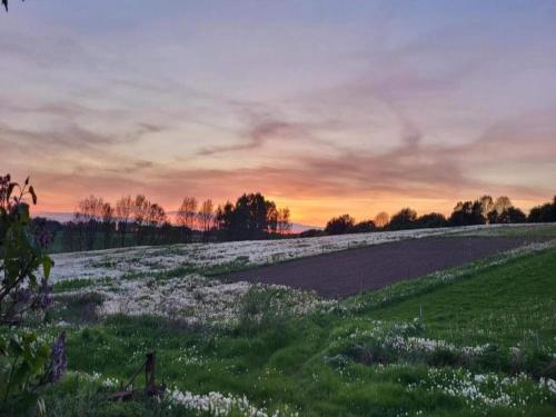 ทัศนียภาพ, Lysbjerggård (Lysbjerggard) in ฟาบวร์ก