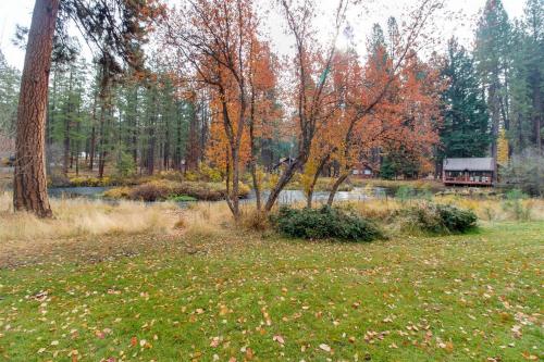 Metolius Cabin 7 - image 11