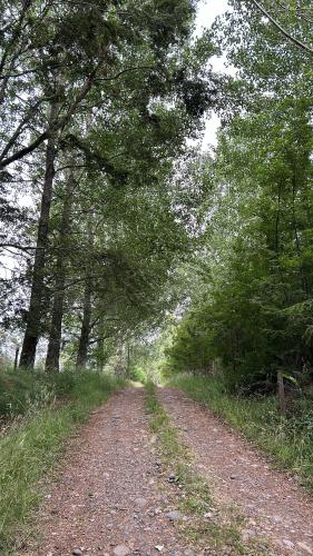 Campo, tranquilidad, relax y buenos paisajes in ปูเยอวย