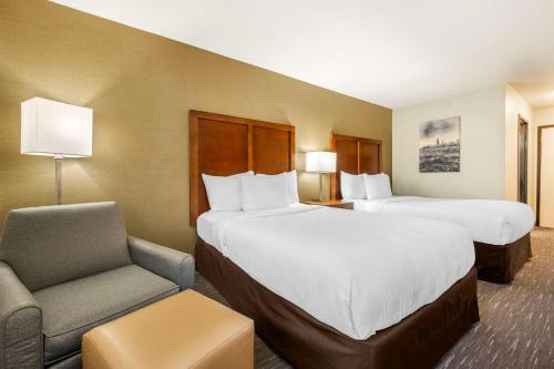 Comfort Inn Downers Grove - Lombard - image 8
