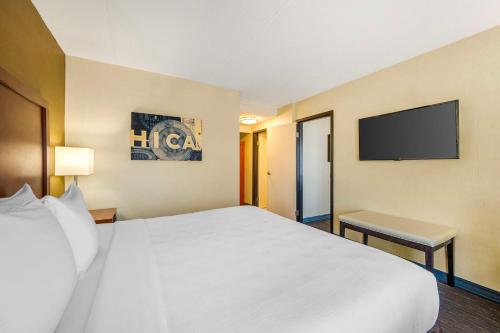 Comfort Inn Downers Grove - Lombard - image 6