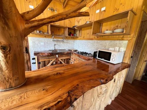 普特雷 Cabana Ugarit Chabranco Maihue Futrono 4星级 单人房 大堂