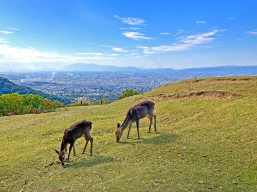 ホテル パブリック ジャム