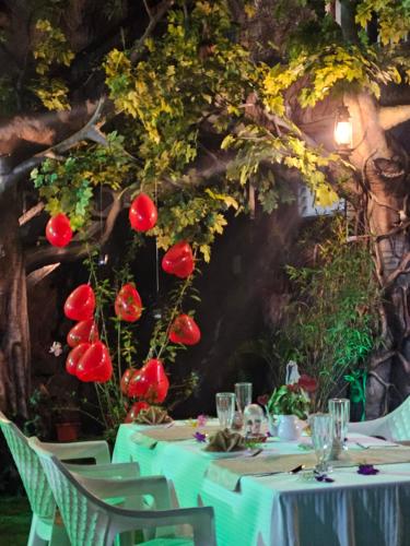 สวน, S & B Dreams House in ไซเลนต์ แวลเลย์