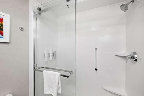 Hampton Inn Selma - image 7
