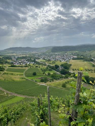 Urlaub-WeinhofHerrenberg 1 in Ayl